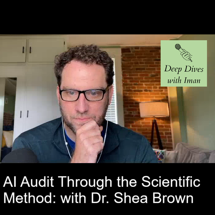 The true value of AI lies more in thorough testing and evaluation than in coding or prompting, with Dr. Shea Brown, BABL AI CEO